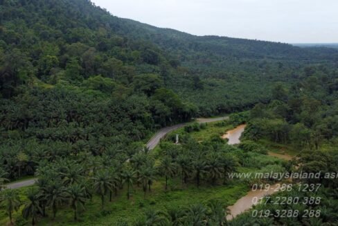 Website - Padang Gajah 11.5 acres - 4