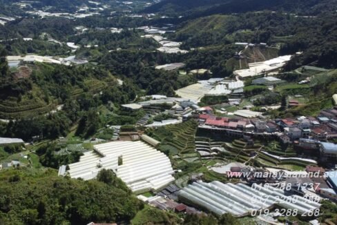 Website - Cameron Highlands Aerial View 1