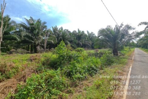 Website - Pengerang 30 acres - 2