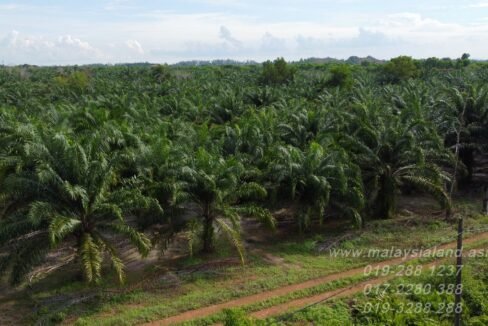 Website - Pengerang 30 acres