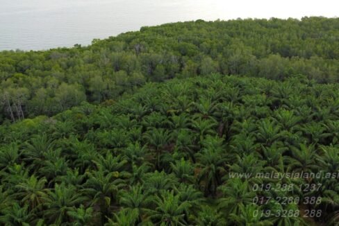 Lumut - Potential Resort Land - Web Post 1
