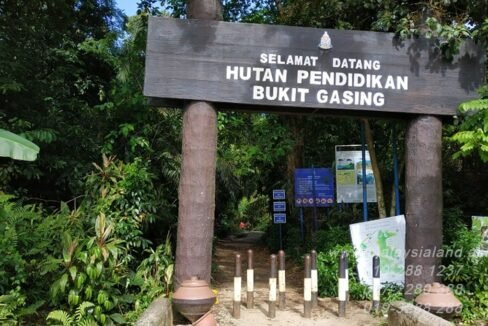 Web post - Bukit Gasing trail PJ entrane