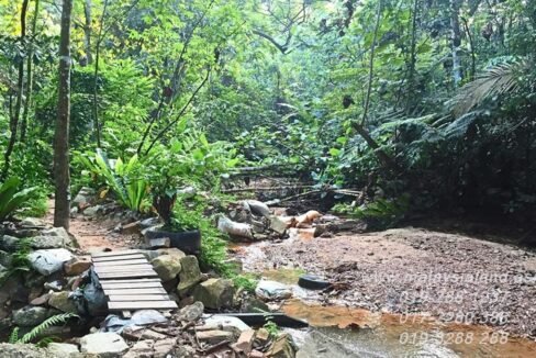 Web post - Bukit Gasing trail with river