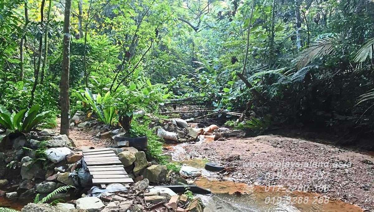 Web post - Bukit Gasing trail with river
