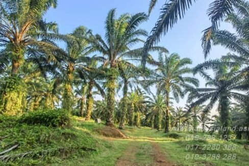 Webpost - Kulai 6.9 acres - 3