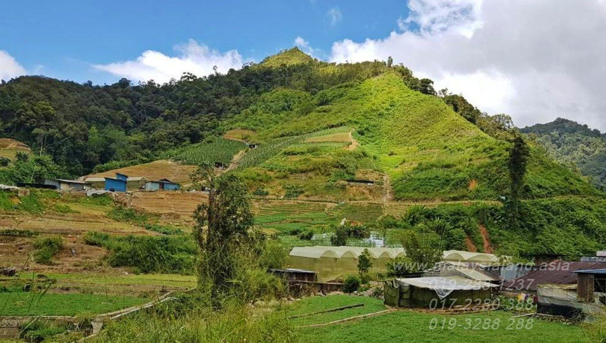 Web post - 10 acres Vegetable Farm in cameron highlands 2