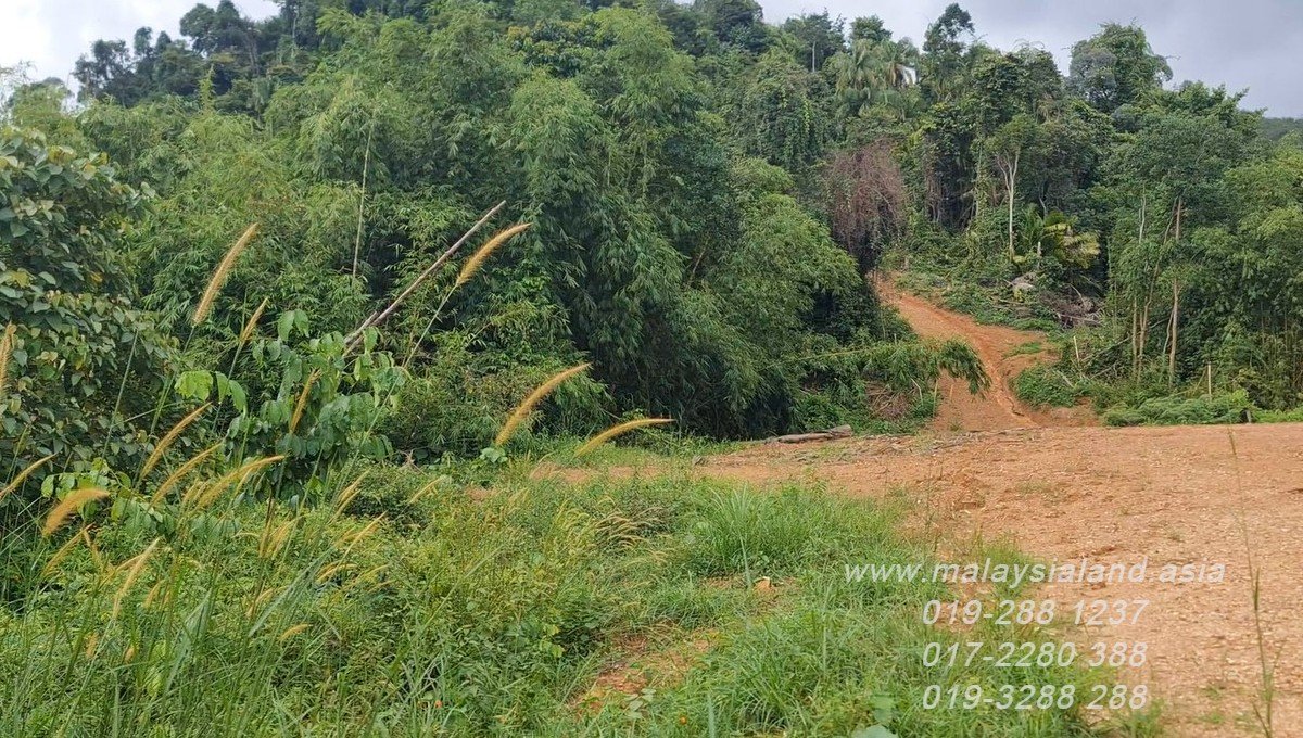 Webpost - Bentong - 4 acres