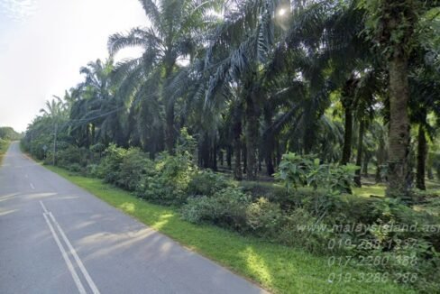 Webpost - Sungai Petani 80 acres