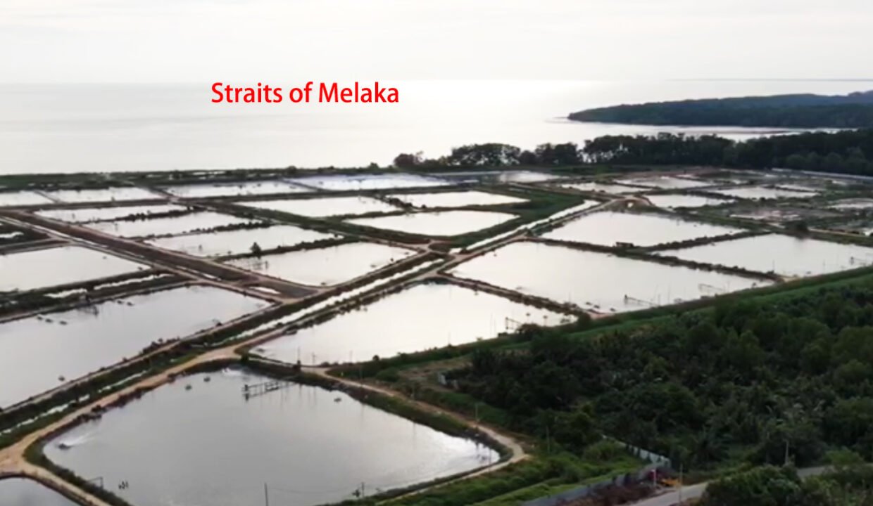 BP 187 acres prawn farm aerial2 copy