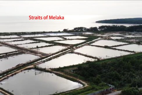 BP 187 acres prawn farm aerial2 copy