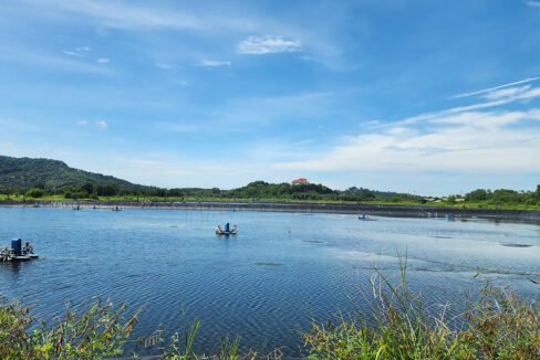 Batu Pahat prawn farm10