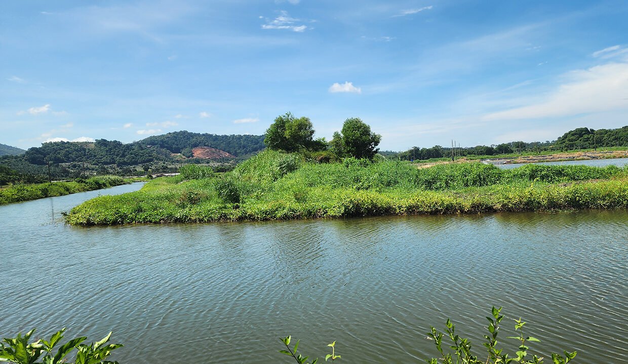 Batu Pahat prawn farm4