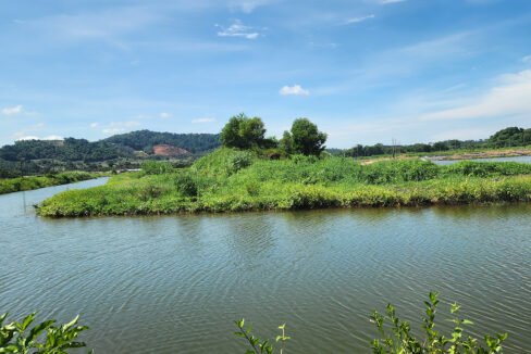 Batu Pahat prawn farm4