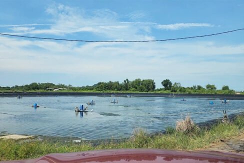 Batu Pahat prawn farm5